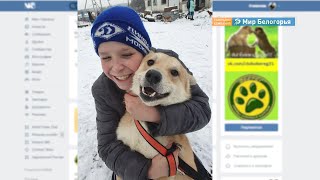 Волонтеры помогают собакам в Комсомольском