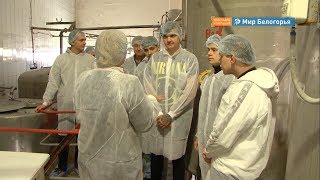 Профэскурсии для школьников на белгородские предприятия