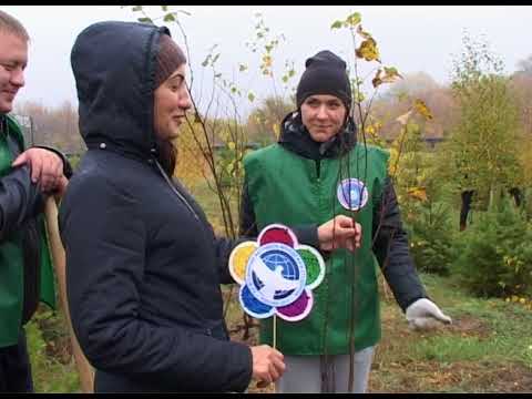 В Ровеньках заложили березовую рощу