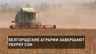Белгородские аграрии завершают уборку сои