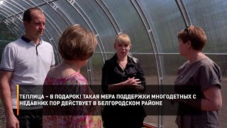 Теплица – в подарок! Такая мера поддержки многодетных с недавних пор действует в Белгородском районе