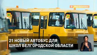 21 новый автобус для школ Белгородской области 