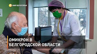 Омикрон в Белгородской области