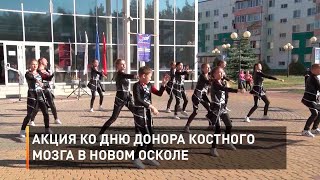 Акция ко Дню донора костного мозга в Новом Осколе
