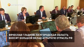 Вячеслав Гладков: Белгородская область вносит большой вклад аграрную отрасль РФ