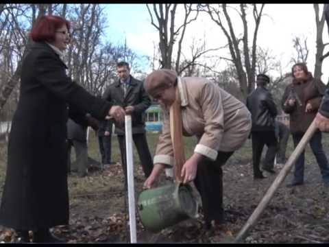 Комсомольский сад в Волоконовке