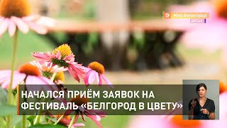 Начался приём заявок на фестиваль «Белгород в цвету»