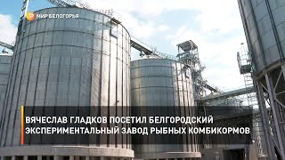 Вячеслав Гладков посетил Белгородский экспериментальный завод рыбных комбикормов