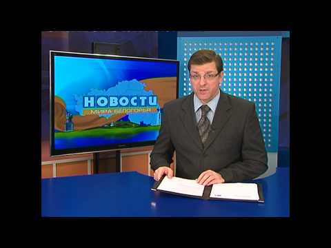 Россельхознадзор предложил Белгородской области программу действий по недопущению АЧС 