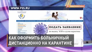 Как оформить карантинный больничный дистанционно