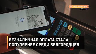 Безналичная оплата стала популярнее среди белгородцев 