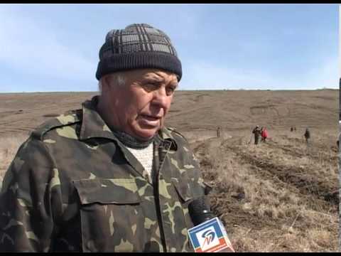 В Красненском районе высадят 51 тыс. ясеней