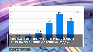 Выручка белгородских организаций упала на 11% по сравнению с прошлым годом