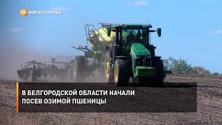 В Белгородской области начали посев озимой пшеницы