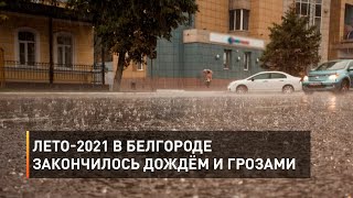 Лето-2021 в Белгороде закончилось дождём и грозами 