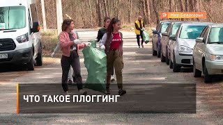 Что такое плоггинг