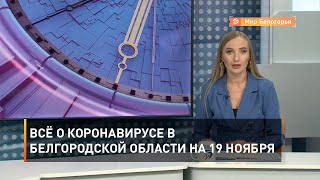 Всё о коронавирусе в Белгородской области на 19 ноября