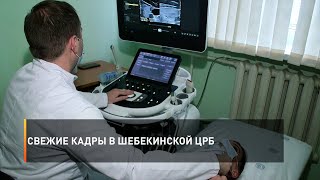 Свежие кадры в Шебекинской ЦРБ
