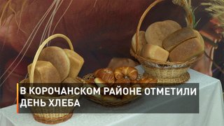 В Корочанском районе отметили День хлеба