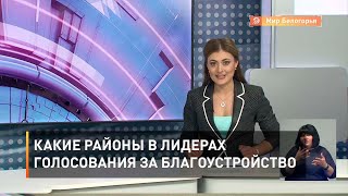 Какие районы в лидерах голосования за благоустройство