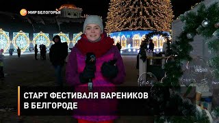 Старт фестиваля вареников в Белгороде