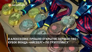 В Алексеевке прошло открытое Первенство – Кубок Фонда «Айсберг» по грэпплингу
