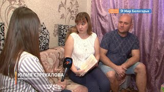 Мошенники обманули 31 семью с маткапиталом