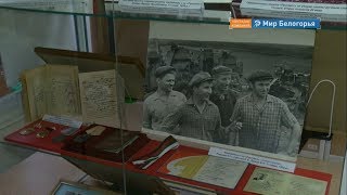 Чем удивит «Ночь музеев» белгородцев