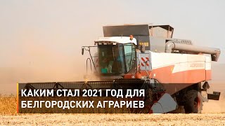 Каким стал 2021 год для белгородских аграриев