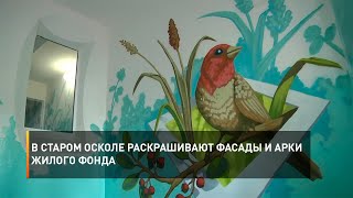 В Старом Осколе раскрашивают фасады и арки жилого фонда