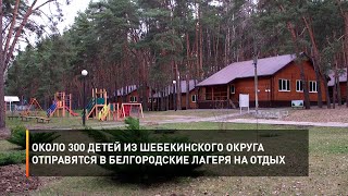 Около 300 детей из Шебекинского округа отправятся в белгородские лагеря на отдых