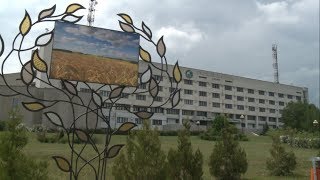 Аграрный конкурс для школьников Белгорода