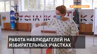 Работа наблюдателей на избирательных участках