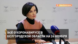 Всё о коронавирусе в Белгородской области на 24 ноября