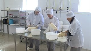 В Белгородской области зарегистрировано 94 сельхозобъединения