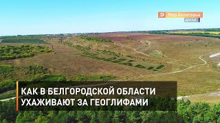 Как в Белгородской области ухаживают за геоглифами