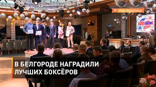 В Белгороде наградили лучших боксёров 