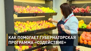 Как помогает губернаторская программа «Содействие»