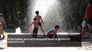 В последние дни в Белгородской области держится сильная жара