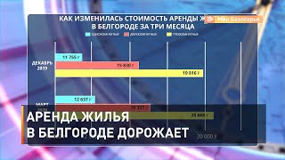 Аренда жилья в Белгороде дорожает