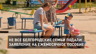 Не все белгородские семьи подали заявление на ежемесячное пособие