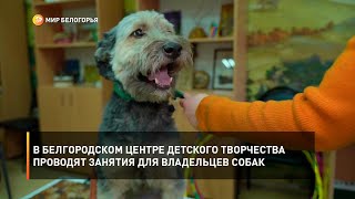 В Белгородском Центре детского творчества проводят занятия для владельцев собак