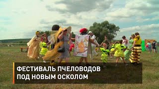 Фестиваль пчеловодов под Новым Осколом