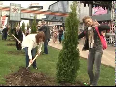 Аллея памяти возле «МегаГринна»