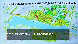 Зелёная «революция» в Белгороде
