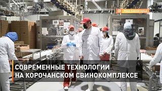 Современные технологии на корочанском свинокомплексе