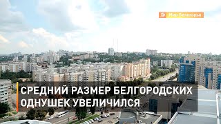 Средний размер белгородских однушек увеличился 