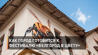 Как город готовится к фестивалю «Белгород в цвету»