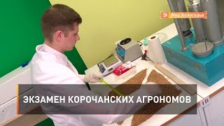 Экзамен корочанских агрономов