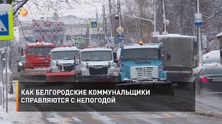 Как белгородские коммунальщики справляются с непогодой
